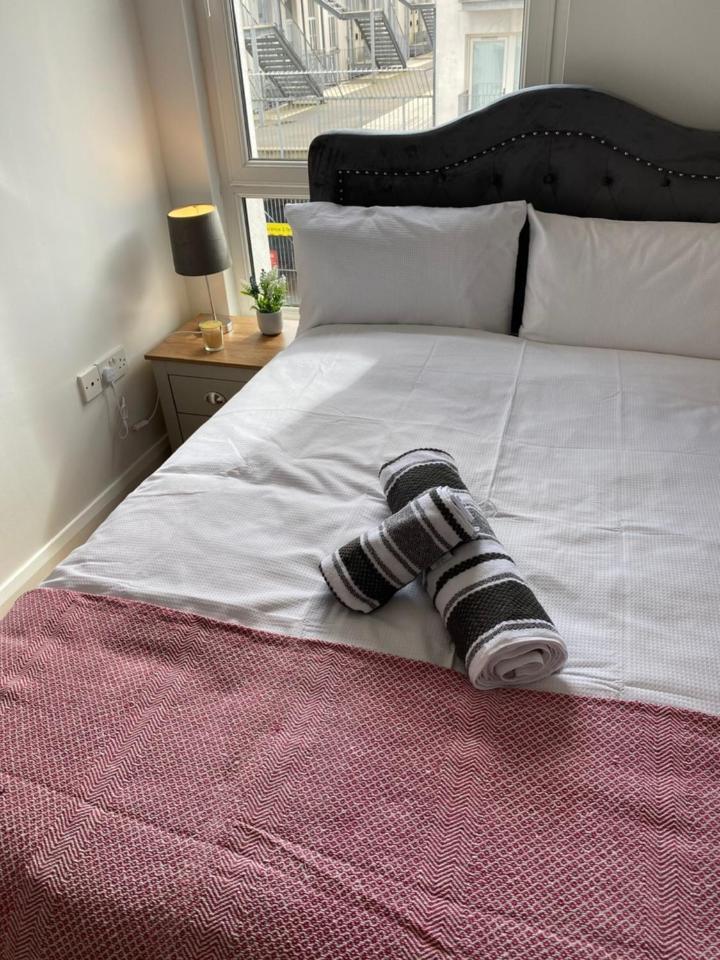 Apartamento The Duffy Belfast Exterior foto